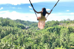 Screenshot_20190207-085143